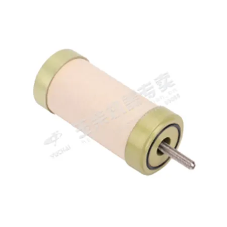 गैस फिल्टर तत्व