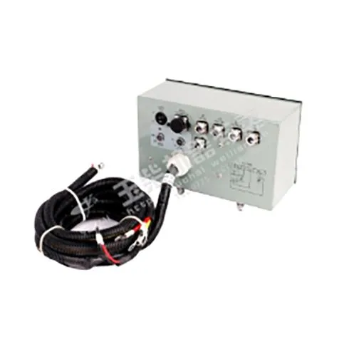 निगरानी करना