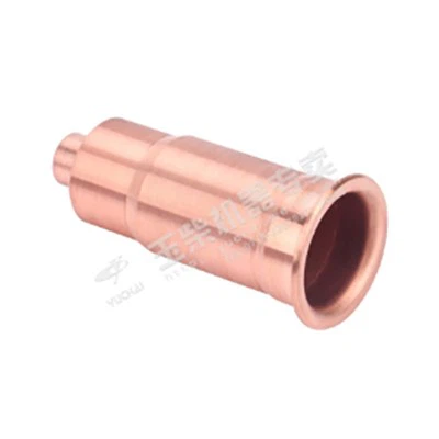 अन्य आस्तीन